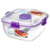 Sistema To Go Salade Lunchbox 1L Ass